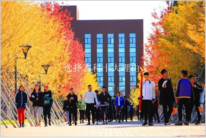 选择吉科十大理由之2：学习即上岗