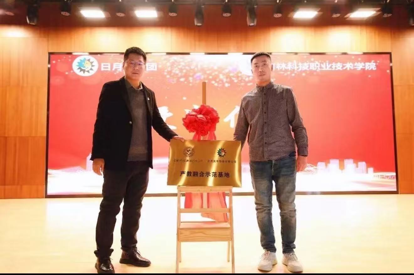 底气3:“就业”有我