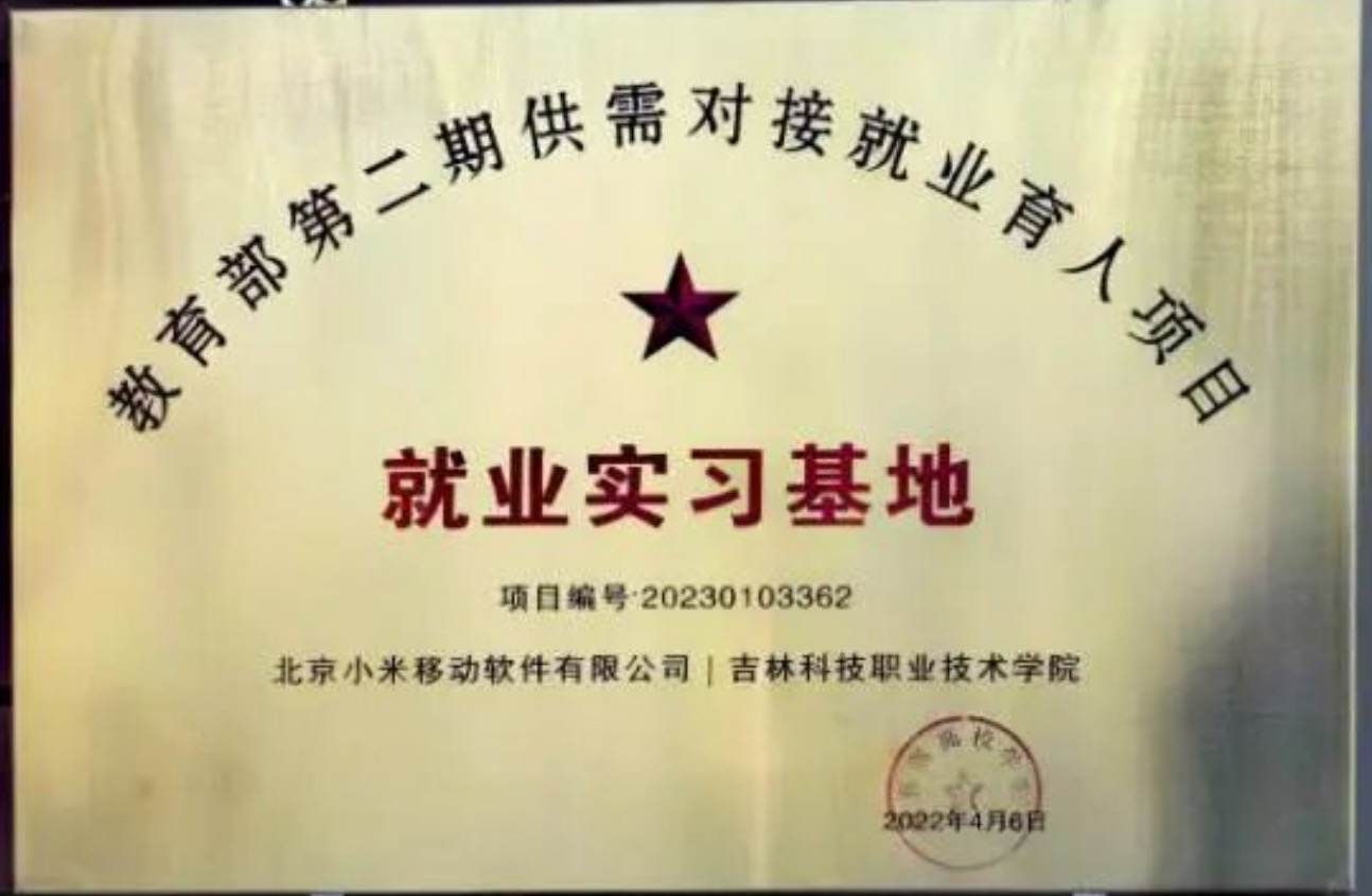 底气3:“就业”有我